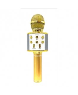 Goodbuy karaoke microphone with built in speaker bluetooth | 3W