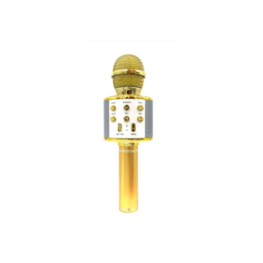 Goodbuy karaoke microphone with built in speaker bluetooth | 3W