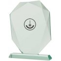 Detail Engraved glass trophy with case