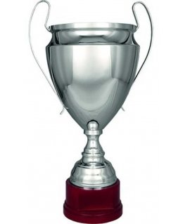 Detail Silver metal TS cup