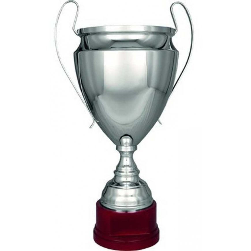 Detail Silver metal TS cup