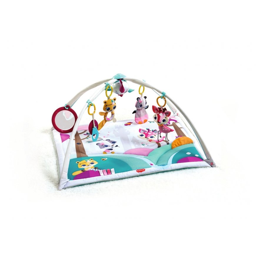 Tiny Love Tiny Love Gymini Deluxe