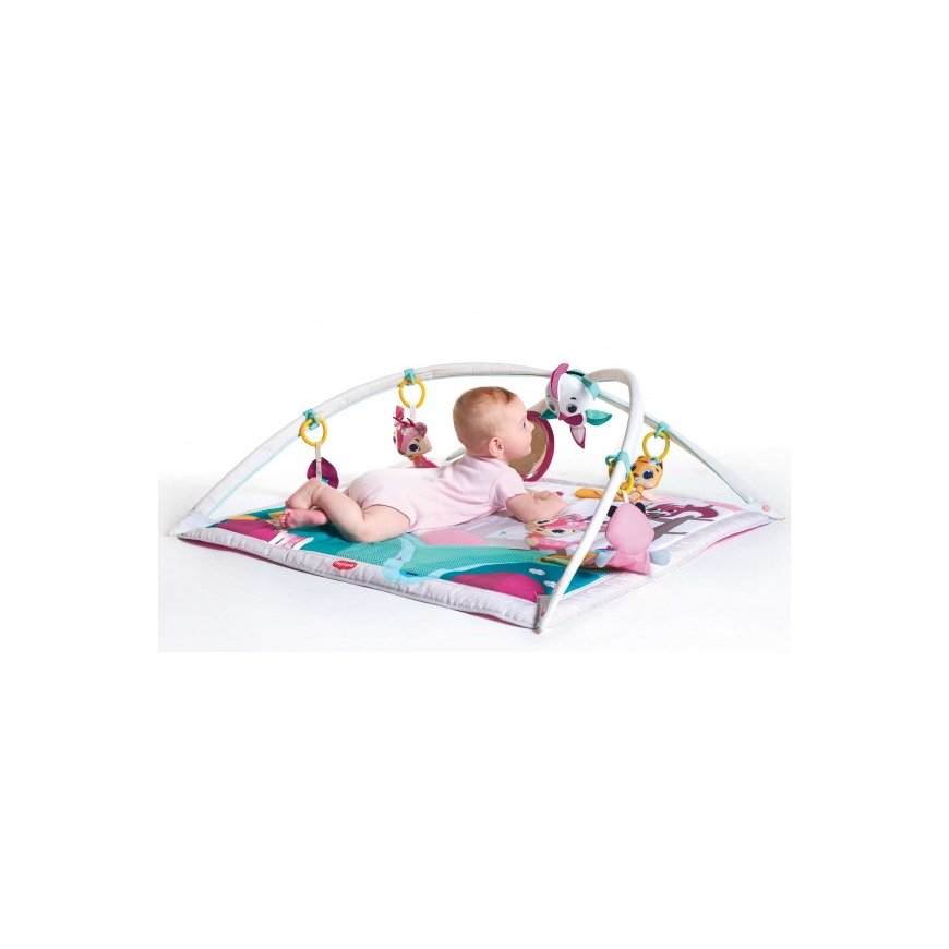 Tiny Love Gymini Deluxe Tiny Princess Tales Multi spalvos Kūdikių treniruoklis – 5