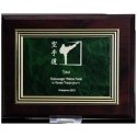 Tryumf Plastic diploma with engraving on a gold plate Tryumf Plastic diploma with engraving on a gold plate