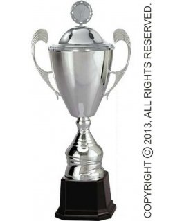 Detail Silver metal cup with lid