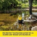 Water pump Karcher SP 16.000 Flood Box Water pump Karcher SP 16.000 Flood Box