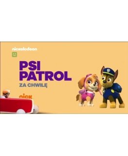 Nickelodeon Psi Patrol żółty