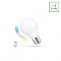 SMART BULB TUYA WIF GLS MILKY CCT+DIM
