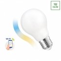 SMART BULB TUYA WIF GLS MILKY CCT+DIM