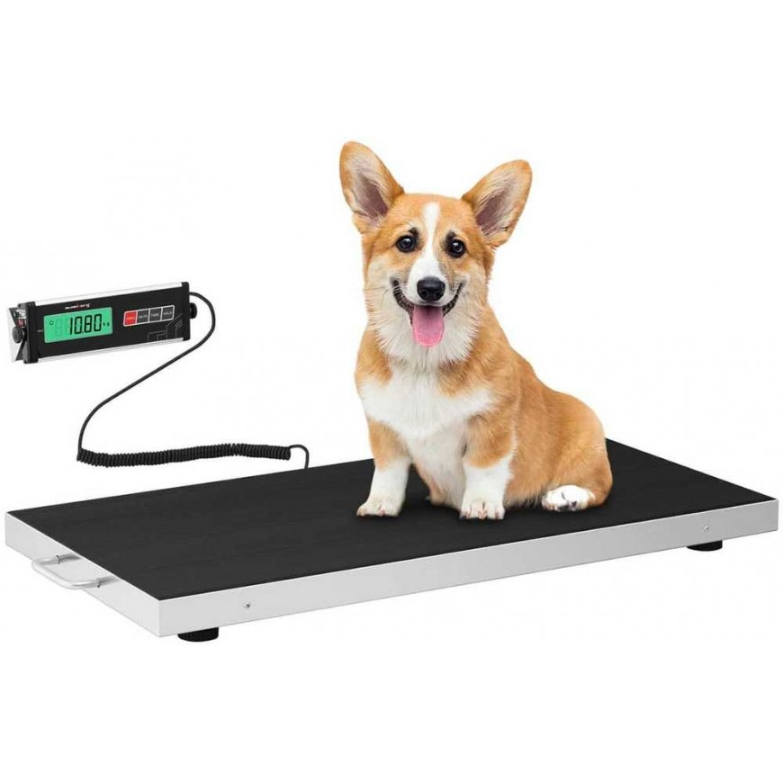 Kitchen scale Steinberg Systems Veterinary platform scale 98x50cm for animals 300kg / 100g – 4