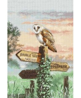 luca S Sparrow Owl SLETIL8031