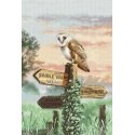 luca S Sparrow Owl SLETIL8031