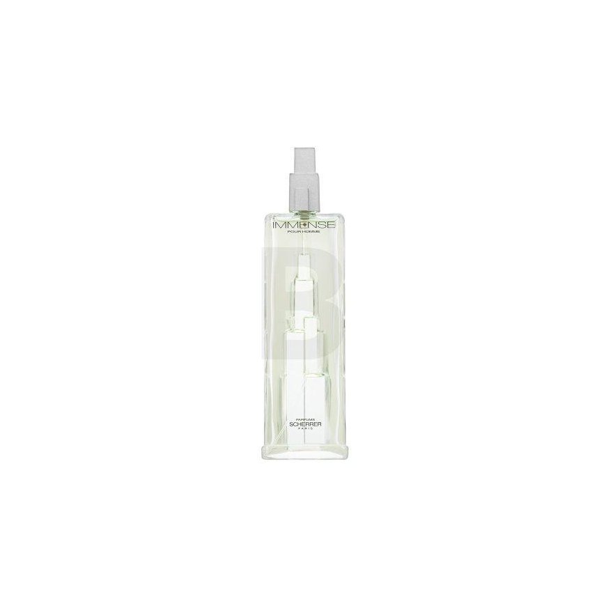 Scherrer Immense Homme Eau de Toilette for men 100 ml