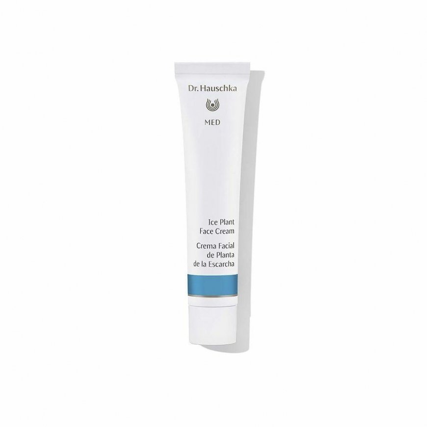 Dr. Hauschka Ice Plant face cream 40ml – 2