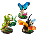 LEGO Ideas 21342 Kolekcja owadów LEGO Ideas 21342 Kolekcja owadów