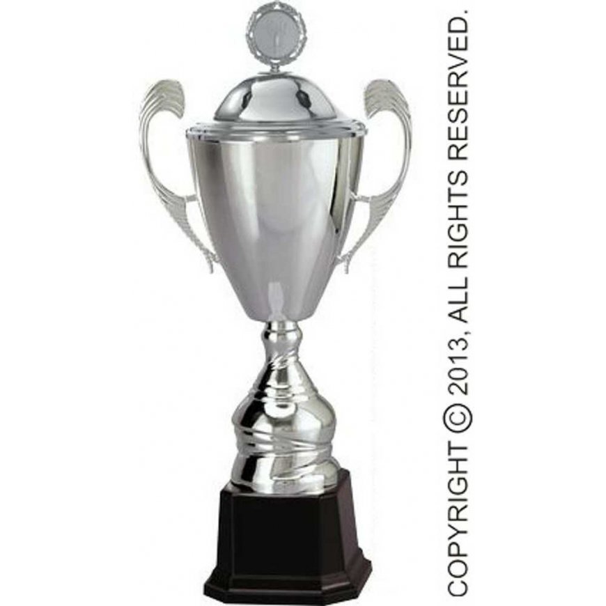 Detail Silver metal cup with lid