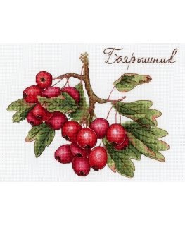 Beldizart Berries SNV-651