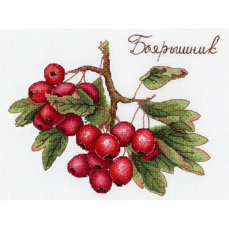 Beldizart Berries SNV-651