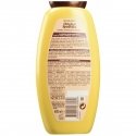 Garnier Original Remedies Avocado and Shea Shampoo 600ml