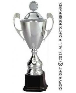 Detail Silver metal cup with lid
