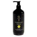 Dermo Afro Champu Mango-Argan 500ml Dermo Afro Champu Mango-Argan 500ml