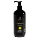 Dermo Afro Champu Mango-Argan 500ml Dermo Afro Champu Mango-Argan 500ml