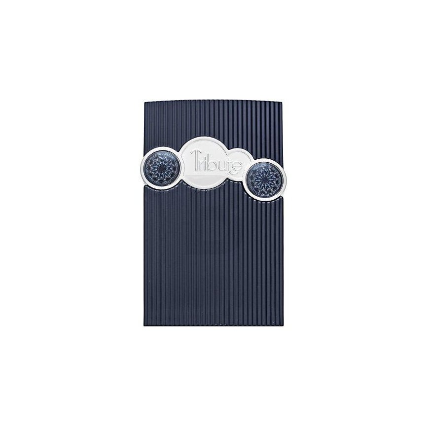 Afnan Men`s perfume Afnan EDP Tribute