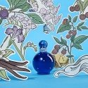 Kvepalai moterims Britney Spears Fantasy Midnight EDP, 50 ml Kvepalai moterims Britney Spears Fantasy Midnight EDP, 50 ml