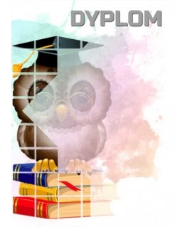 Tryumf Paper diploma - owl (25 pcs.) DYP157