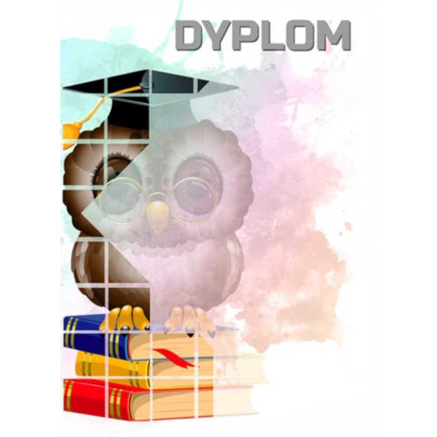 Tryumf Paper diploma - owl (25