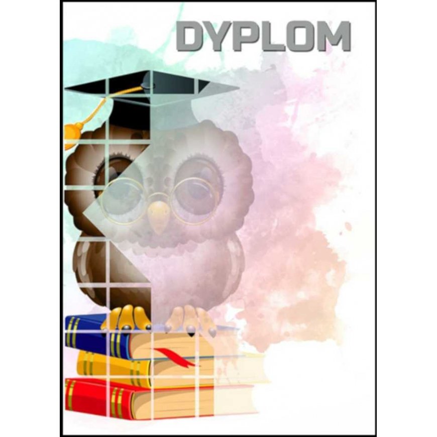 Tryumf Paper diploma - owl (25 pcs.) DYP157 – 2