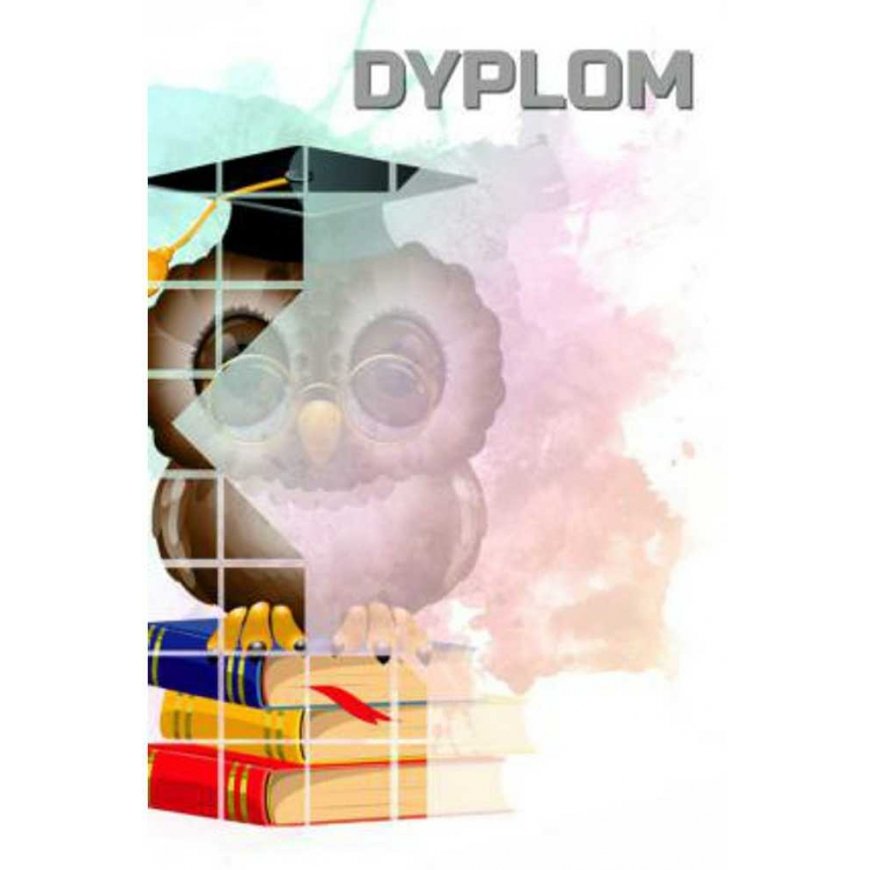 Tryumf Paper diploma - owl (25 pcs.) DYP157 – 3