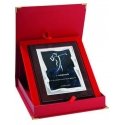 Tryumf Plastic diploma with engraved metal plate + case Tryumf Plastic diploma with engraved metal plate + case