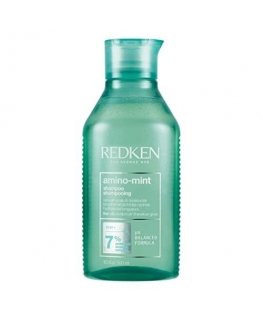 Redken Amino Mint Shampoo 300