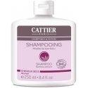 Cattier Paris Cattier sausas plaukų šampūnas 250ml Cattier Paris Cattier sausas plaukų šampūnas 250ml