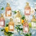 Guerlain Aqua Allegoria Pamplelune Eau de Toilette 125ml Guerlain Aqua Allegoria Pamplelune Eau de Toilette 125ml