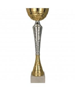 Detail Gold-silver metal cup TUMA S