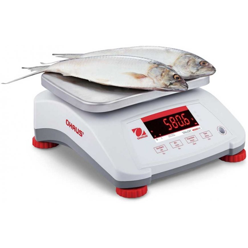 Kitchen scales VALOR 4000 scales with legalization for kitchen, food, water IP68 LED 3Kg / 1g - OHAUS V41PWE3T-M – 3