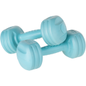 Bituminous dumbbells 2x2kg, REBEL ACTIVE Bituminous dumbbells 2x2kg, REBEL ACTIVE