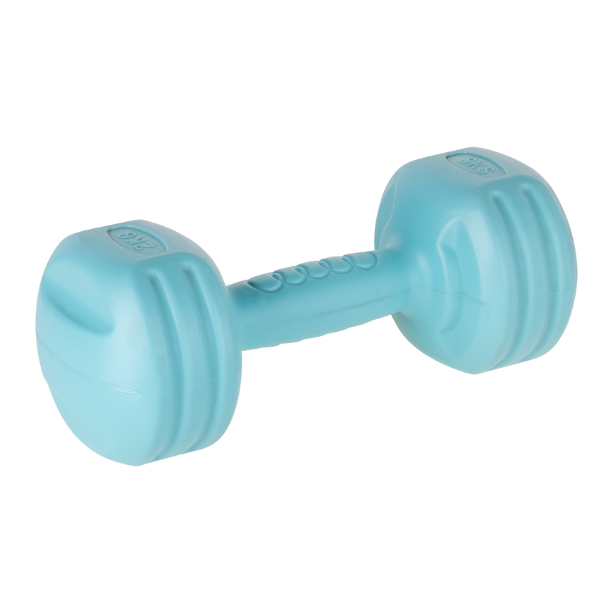 Bituminous dumbbells 2x2kg, REBEL ACTIVE – 3