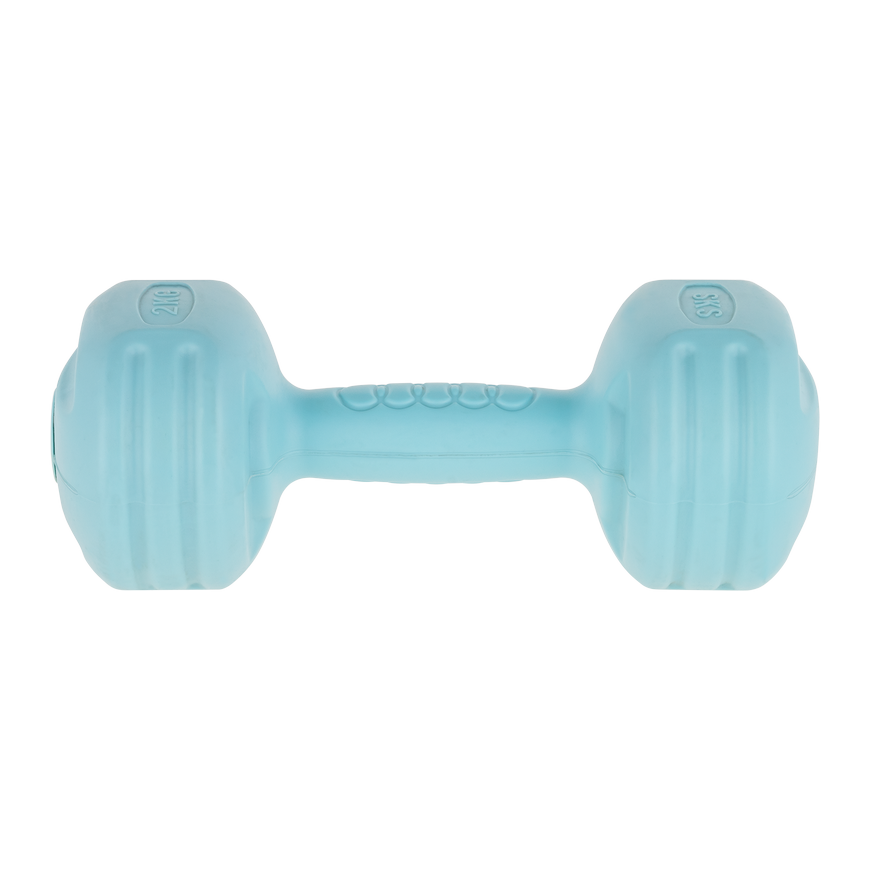 Bituminous dumbbells 2x2kg, REBEL ACTIVE – 4