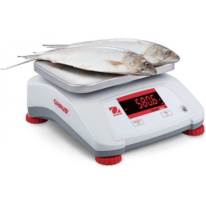 Kitchen scales, waterproof IP68 VALOR 2000 30kg / 5kg - OHAUS V22PWE30T – 4