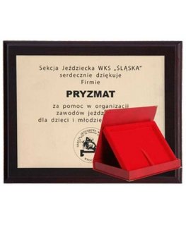 Tryumf Plastikinis diplomas su graviruotu laminatu + dėklas 250x200 mm