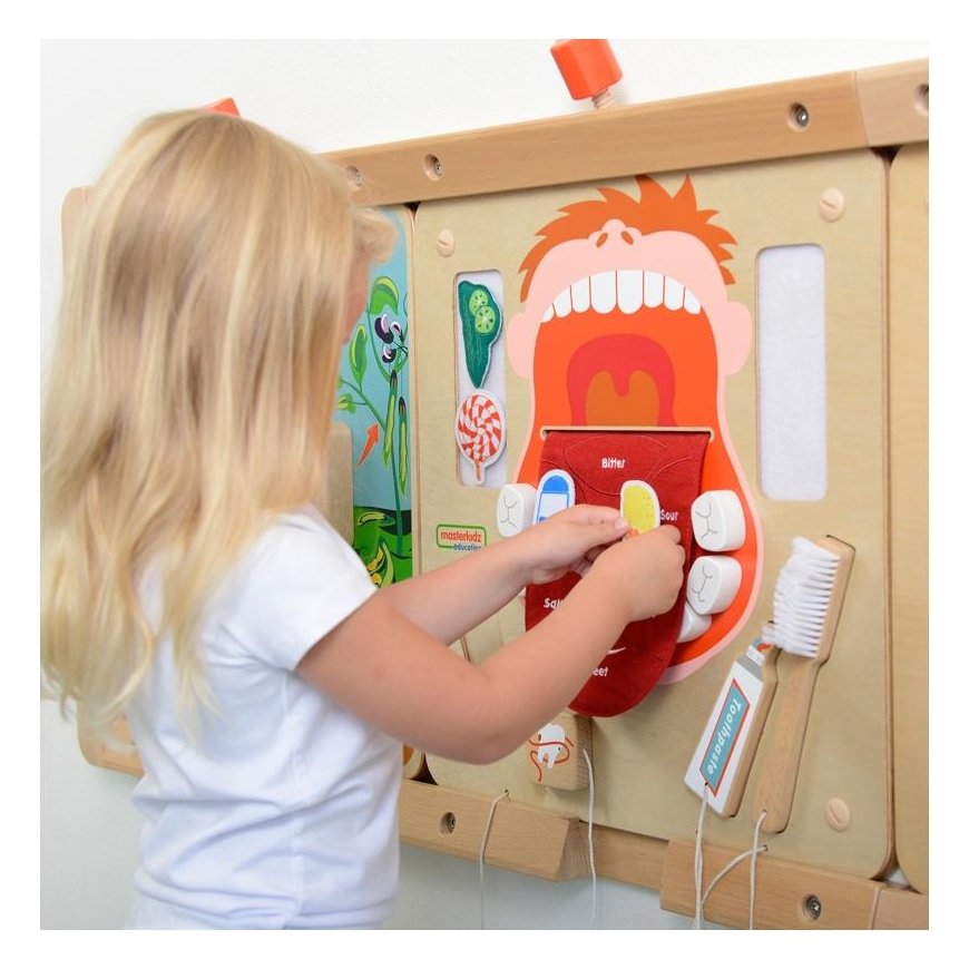 Masterkidz educational board, oral hygiene
