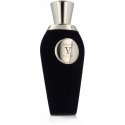 Unisex perfume V Canto 100 ml Amans