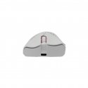 White Shark WGM-5012 Lionel White White Shark WGM-5012 Lionel White