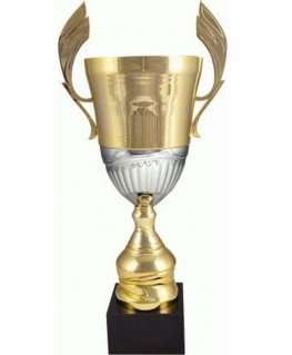 Tryumf Gold and silver metal cup 4128B