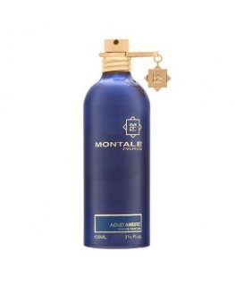 Montale Paris Montale Aoud Ambre EDP U 100 ml