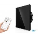 Spring Single-pole sensor switch, remote control (WIFI), Black