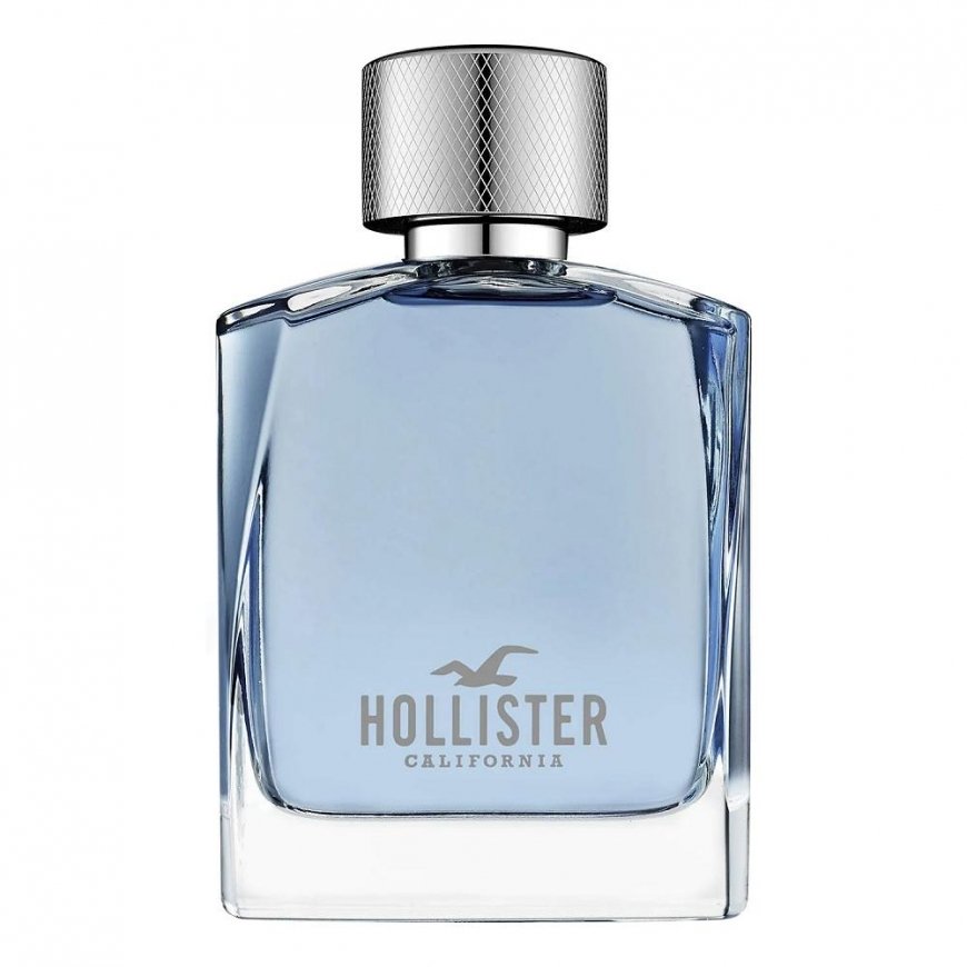 Hollister Wave For Him eau de toilette spray 100ml – 2